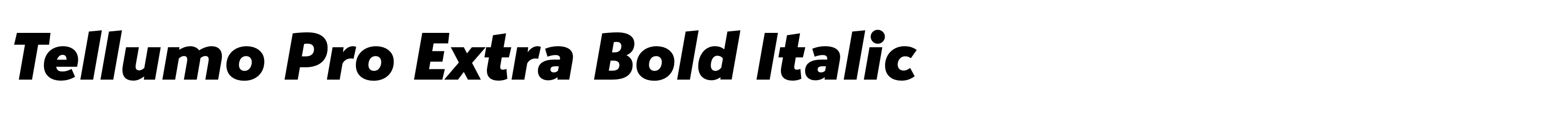 Tellumo Pro Extra Bold Italic